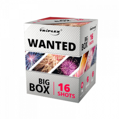 Obrazek Bateria Wanted F3 16 Strzałów 1,9"